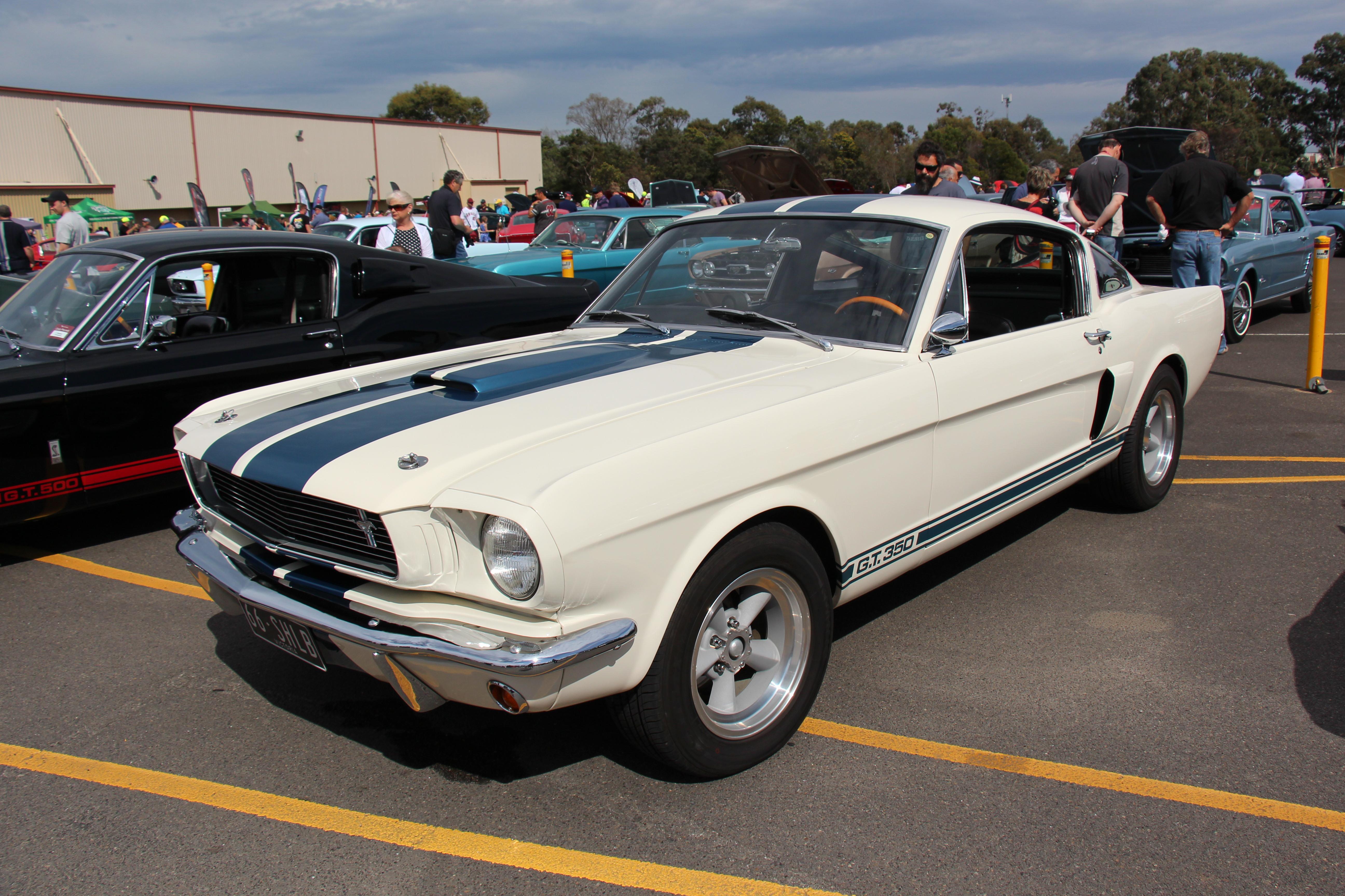 Exploring the Best Washing Techniques for Shelby Car Owners