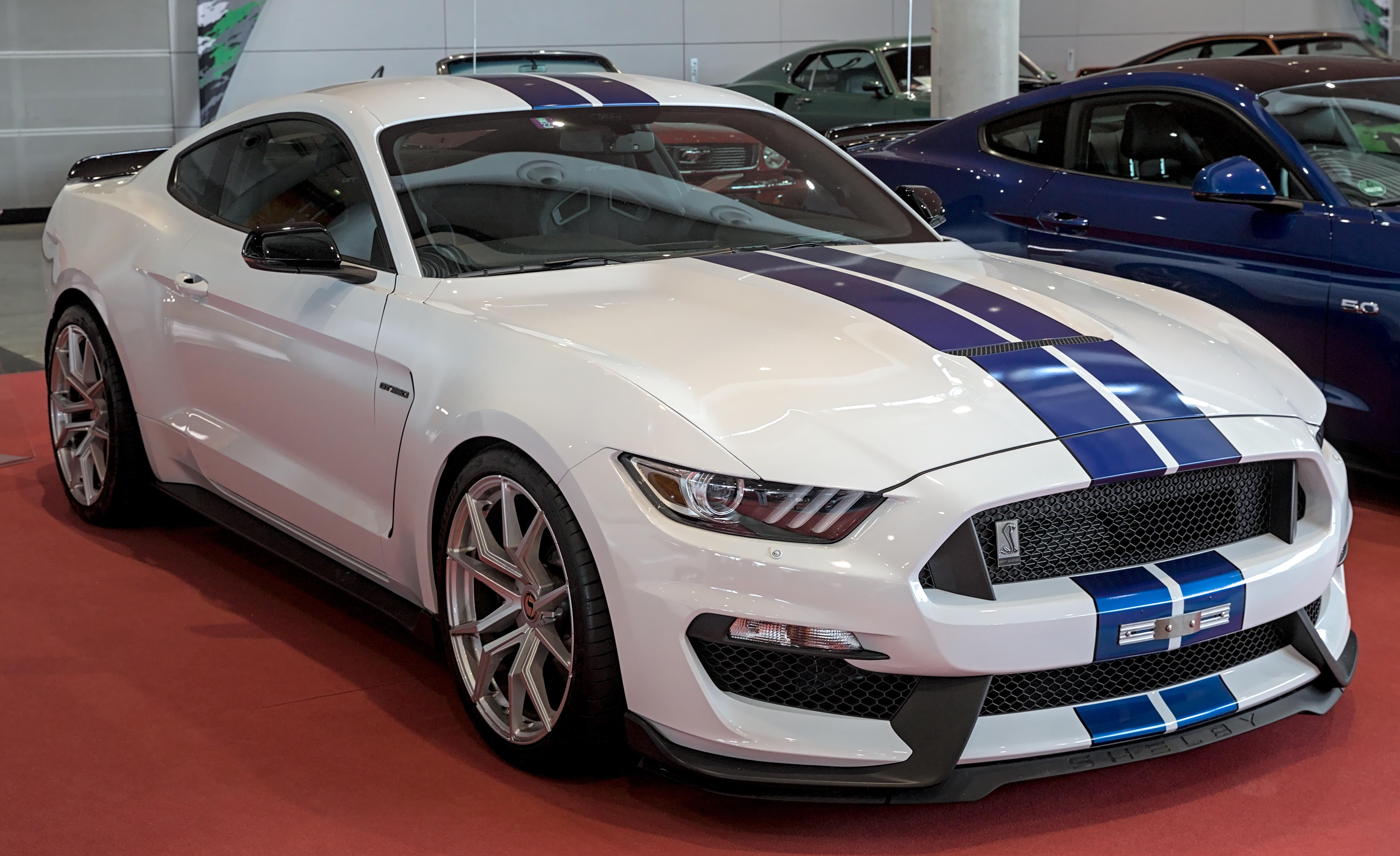 Exclusive Insights Into Shelby Auto Sales Operations