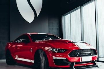 shelby mustang for sale