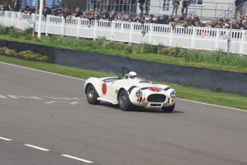 shelby cobra used