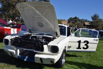 shelby cobra logo