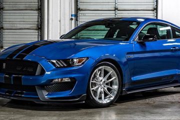shelby mustang 65