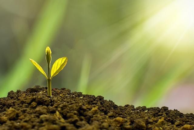 Sustainability Features and Their Impact on the Future of Driving