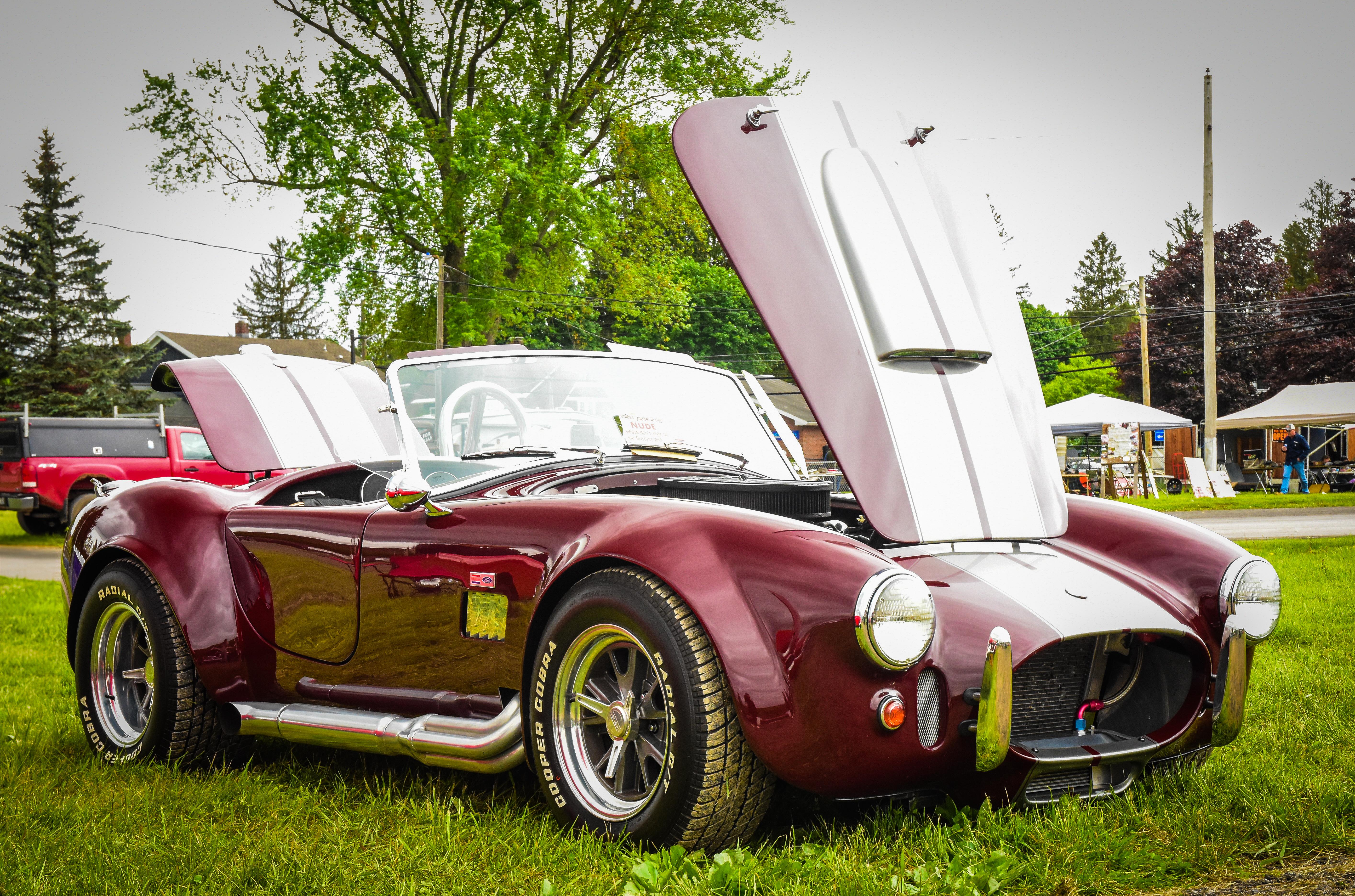 Must-Have Accessories to Enhance Your Shelby Cobra Electric Experience